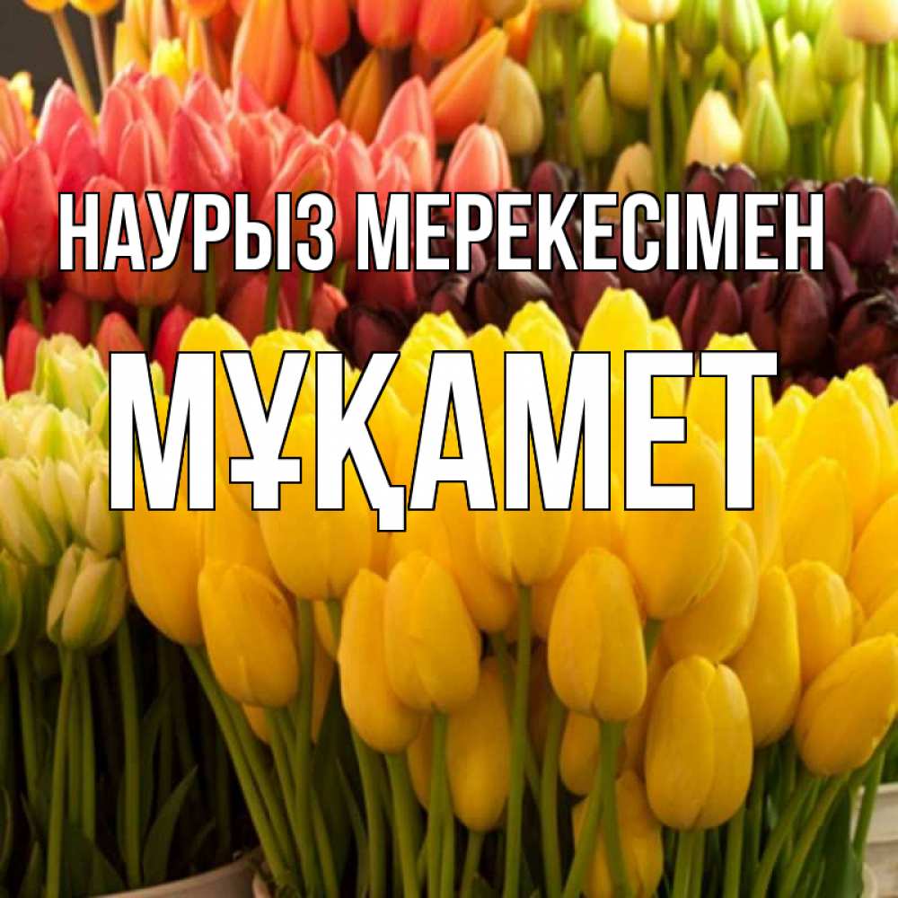 Күн сайын ашық хат с именем, МҰҚАМЕТ Наурыз мерекесімен цветы Онлайн тегін жүктеп алу тілектері бар керемет карта 