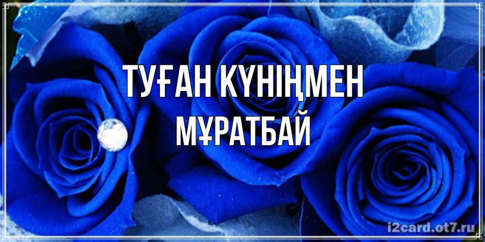 Күн сайын ашық хат с именем, Мұратбай Туған күніңмен синие розы в росе Онлайн тегін жүктеп алу тілектері бар керемет карта 