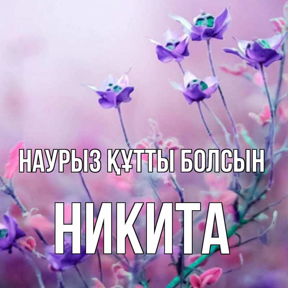 Күн сайын ашық хат с именем, Никита Наурыз құтты болсын наурыз  2 Онлайн тегін жүктеп алу тілектері бар керемет карта 