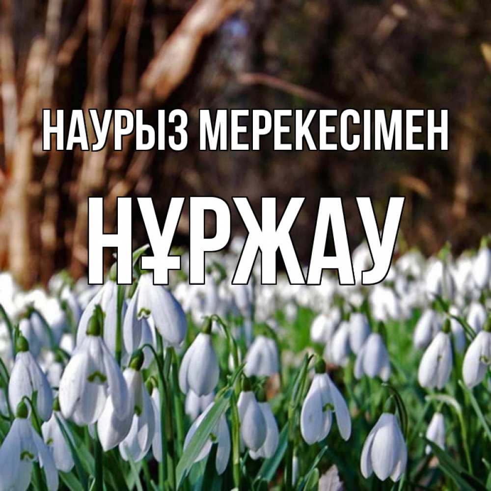 Күн сайын ашық хат с именем, НҰРЖАУ Наурыз мерекесімен с подснежниками 1 Онлайн тегін жүктеп алу тілектері бар керемет карта 