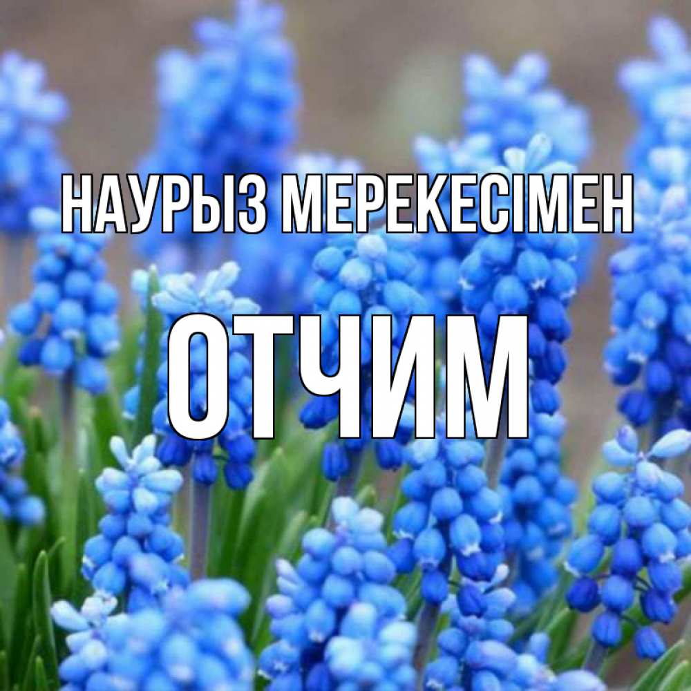 Күн сайын ашық хат с именем, Отчим Наурыз мерекесімен Поздравительная открытка для женщин с цветами на праздничную дату Онлайн тегін жүктеп алу тілектері бар керемет карта 