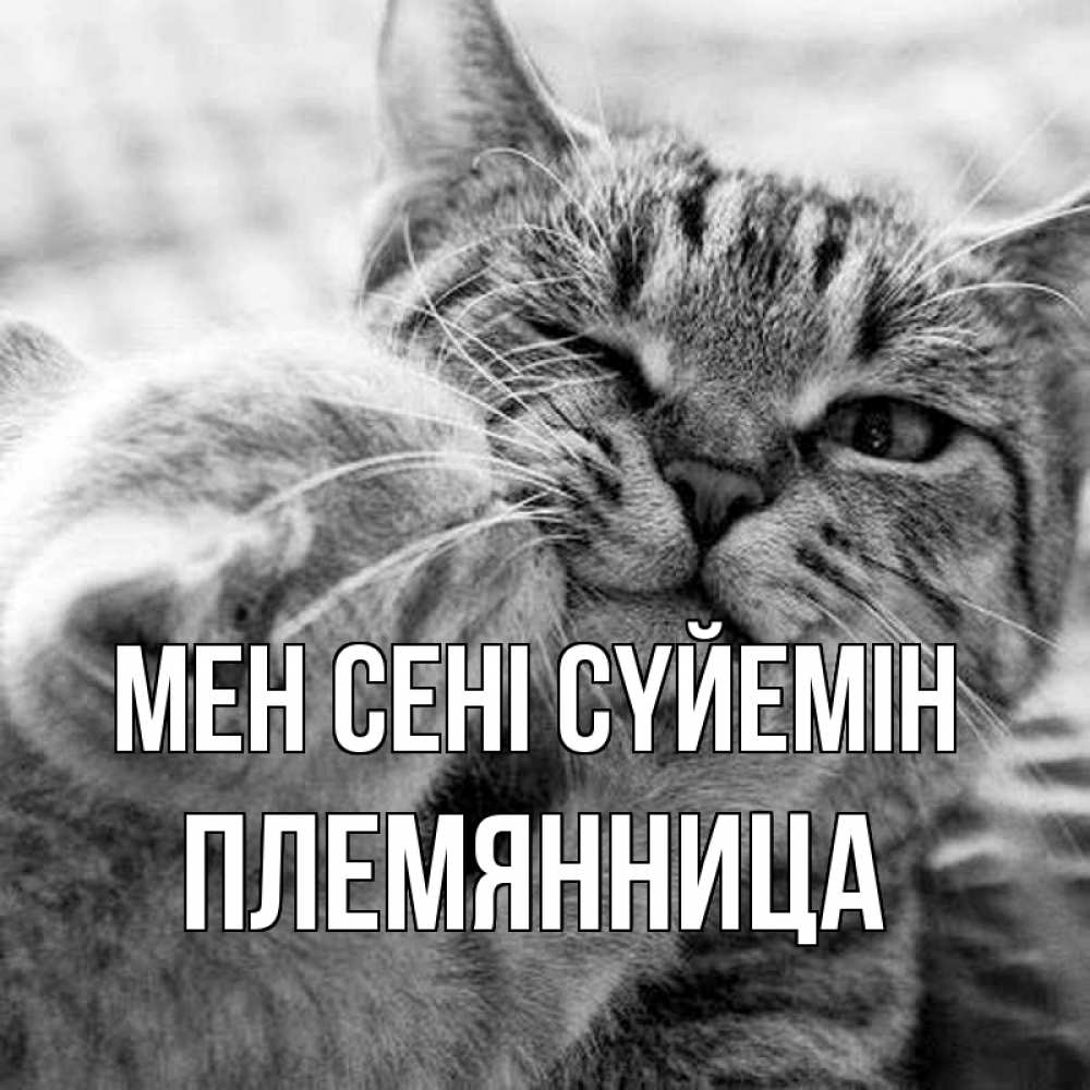 Күн сайын ашық хат с именем, Племянница Мен сені сүйемін коты Онлайн тегін жүктеп алу тілектері бар керемет карта 