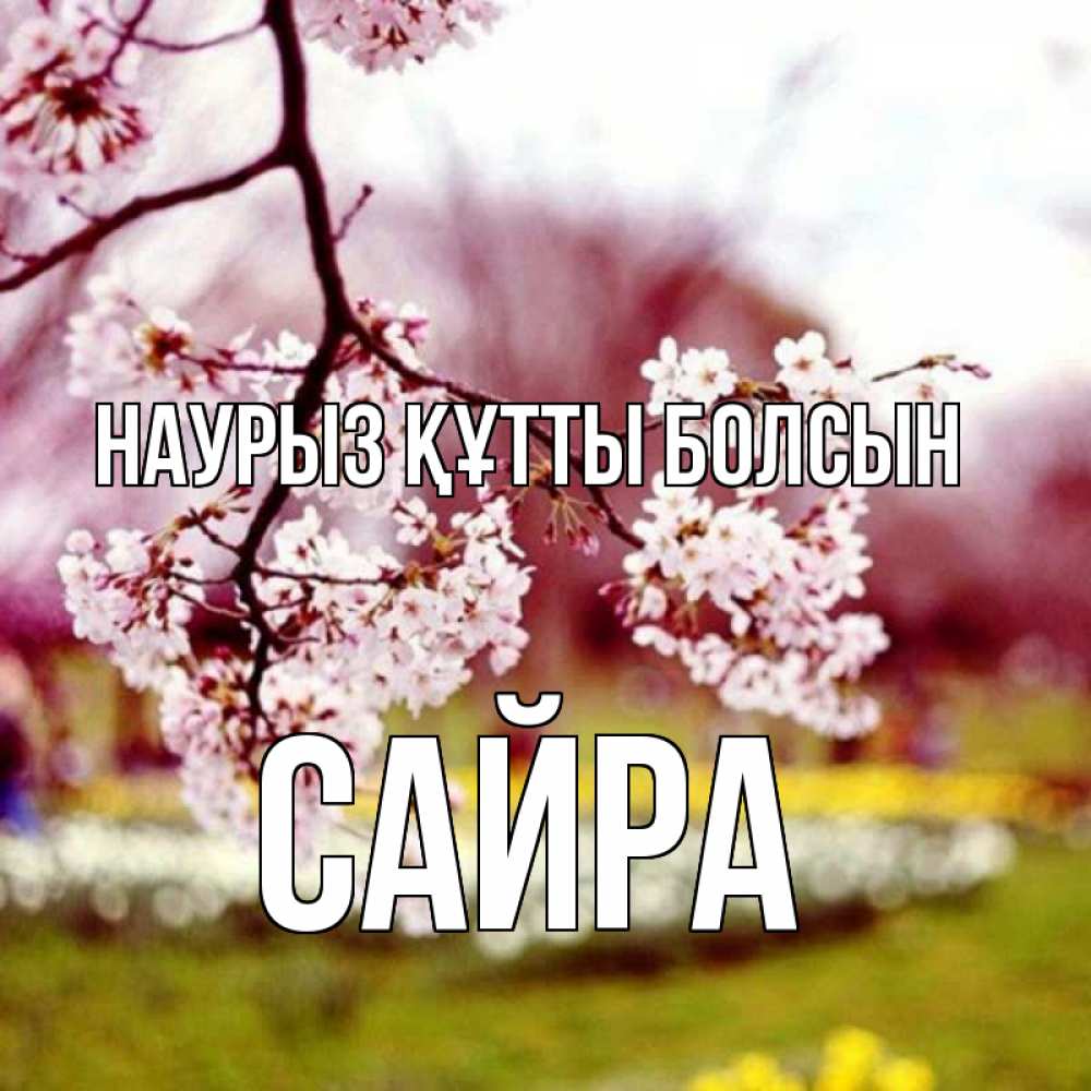 Күн сайын ашық хат с именем, САЙРА Наурыз құтты болсын яблоня Онлайн тегін жүктеп алу тілектері бар керемет карта 