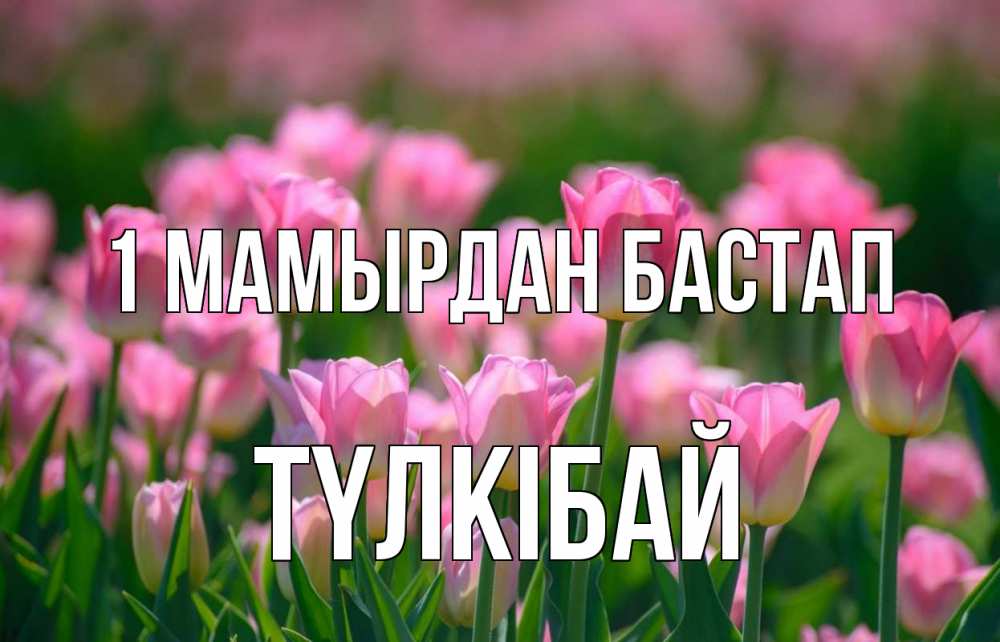 Күн сайын ашық хат с именем, ТҮЛКІБАЙ 1 мамырдан бастап С 1 мая Онлайн тегін жүктеп алу тілектері бар керемет карта 
