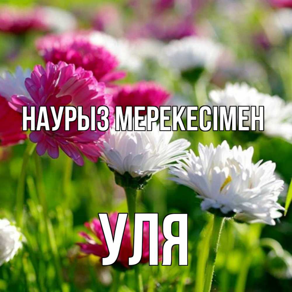 Күн сайын ашық хат с именем, Уля Наурыз мерекесімен праздник весны наурыз красота Онлайн тегін жүктеп алу тілектері бар керемет карта 