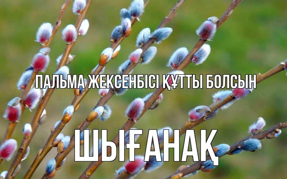 Күн сайын ашық хат с именем, ШЫҒАНАҚ Пальма жексенбісі құтты болсын верба Онлайн тегін жүктеп алу тілектері бар керемет карта 