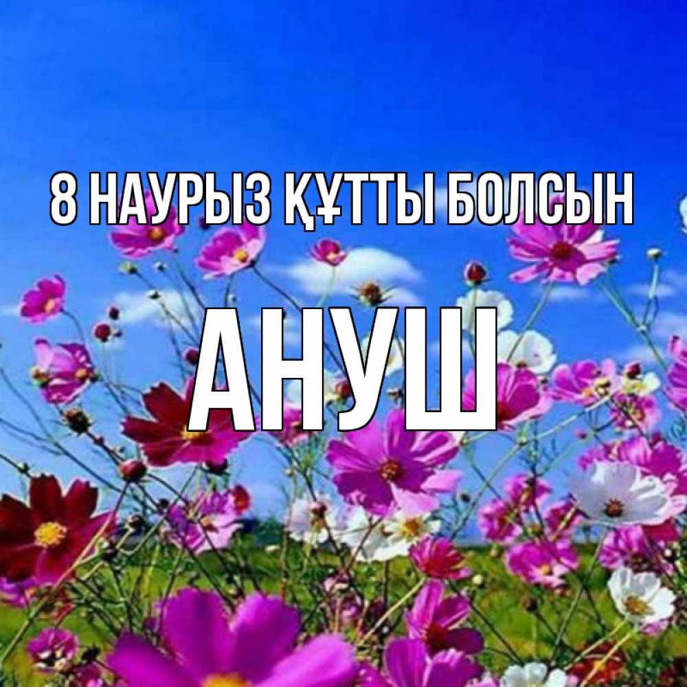 Күн сайын ашық хат с именем, Ануш 8 наурыз құтты болсын цветы Онлайн тегін жүктеп алу тілектері бар керемет карта 