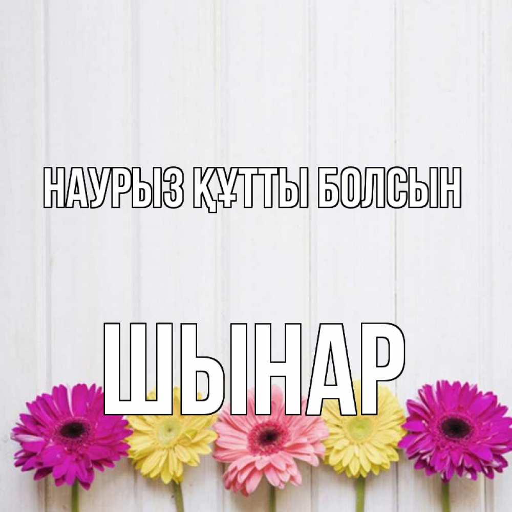 Күн сайын ашық хат с именем, ШЫНАР Наурыз құтты болсын женщинам 1 Онлайн тегін жүктеп алу тілектері бар керемет карта 