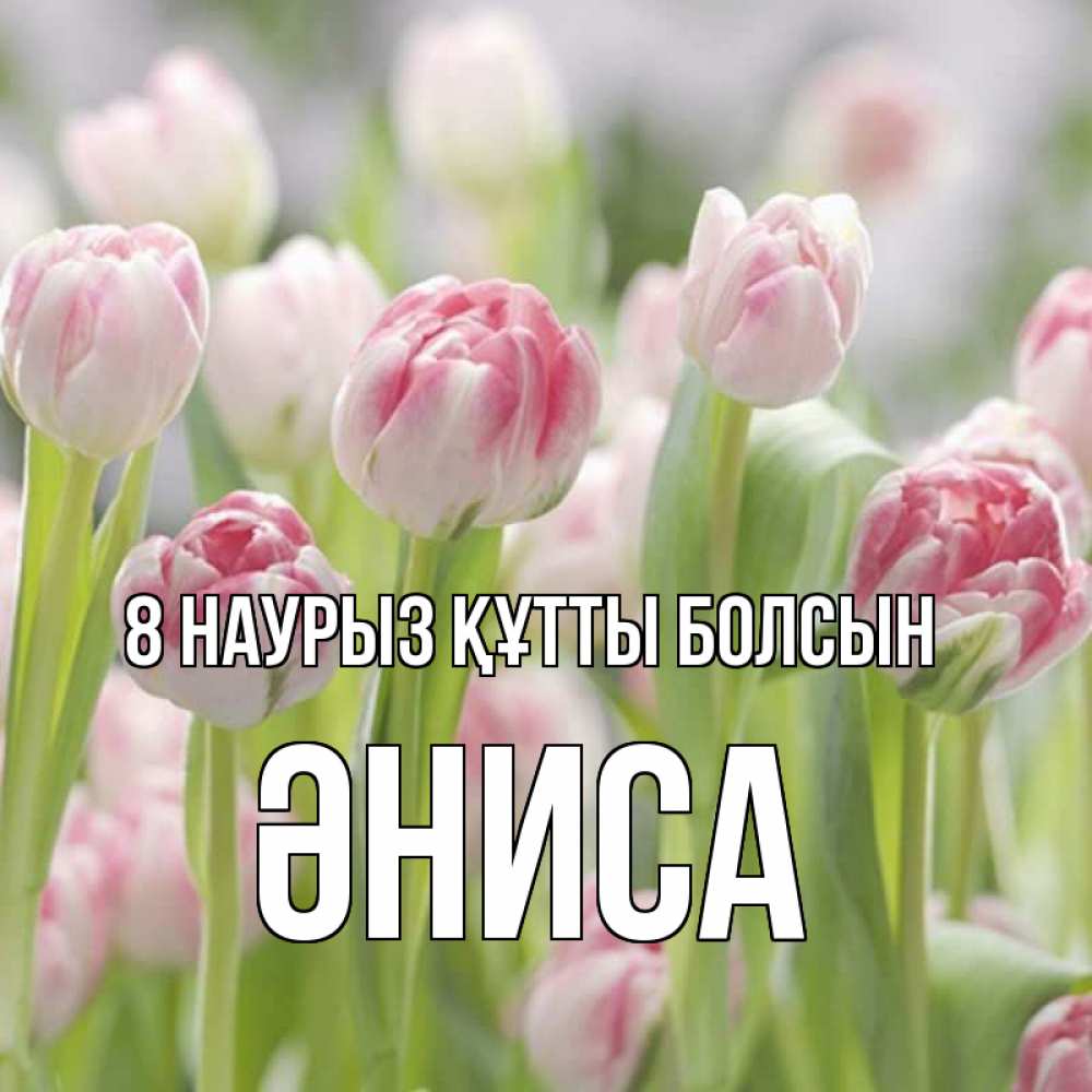 Күн сайын ашық хат с именем, ӘНИСА 8 наурыз құтты болсын цветы Онлайн тегін жүктеп алу тілектері бар керемет карта 