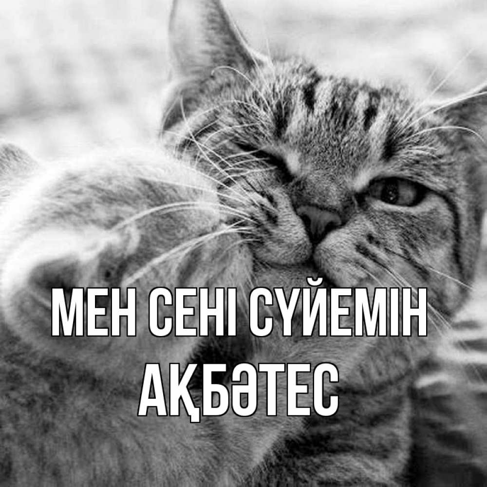 Күн сайын ашық хат с именем, АҚБӘТЕС Мен сені сүйемін коты Онлайн тегін жүктеп алу тілектері бар керемет карта 