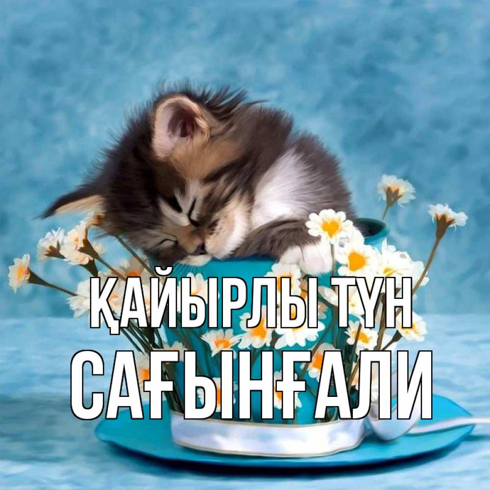 Күн сайын ашық хат с именем, Сағынғали Қайырлы түн котенок спит в кружке с блюдцем Онлайн тегін жүктеп алу тілектері бар керемет карта 