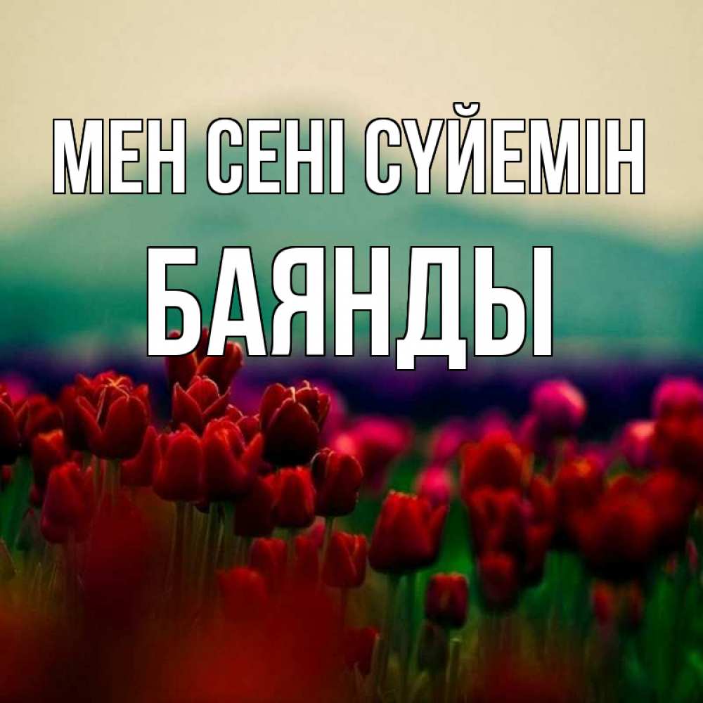 Күн сайын ашық хат с именем, Баянды Мен сені сүйемін тюльпаны 4 Онлайн тегін жүктеп алу тілектері бар керемет карта 