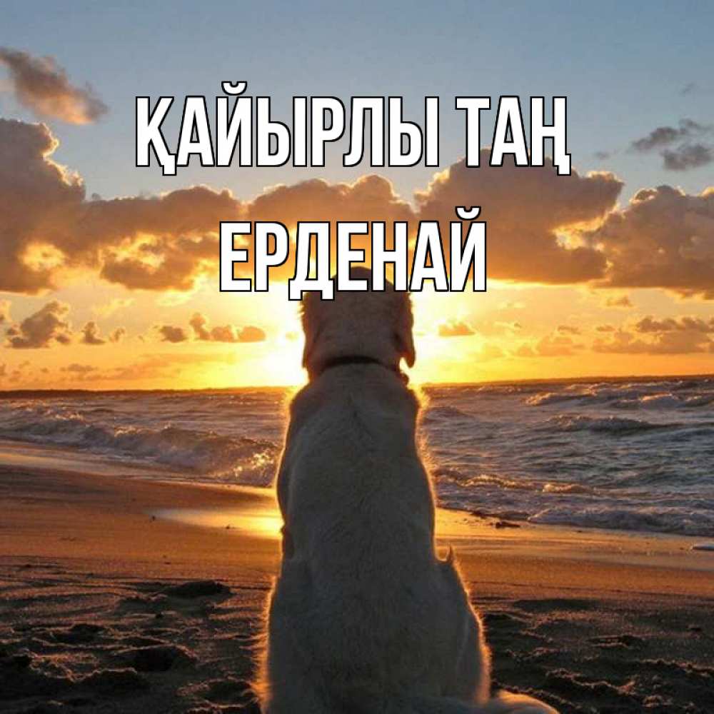 Күн сайын ашық хат с именем, Ерденай Қайырлы таң восход солнца Онлайн тегін жүктеп алу тілектері бар керемет карта 