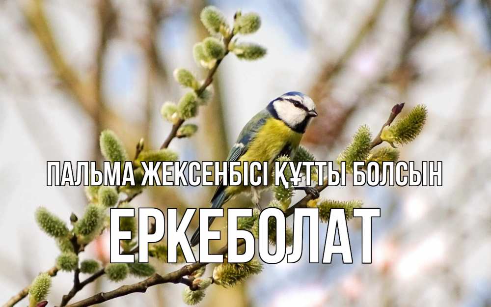 Күн сайын ашық хат с именем, Еркеболат Пальма жексенбісі құтты болсын верба Онлайн тегін жүктеп алу тілектері бар керемет карта 