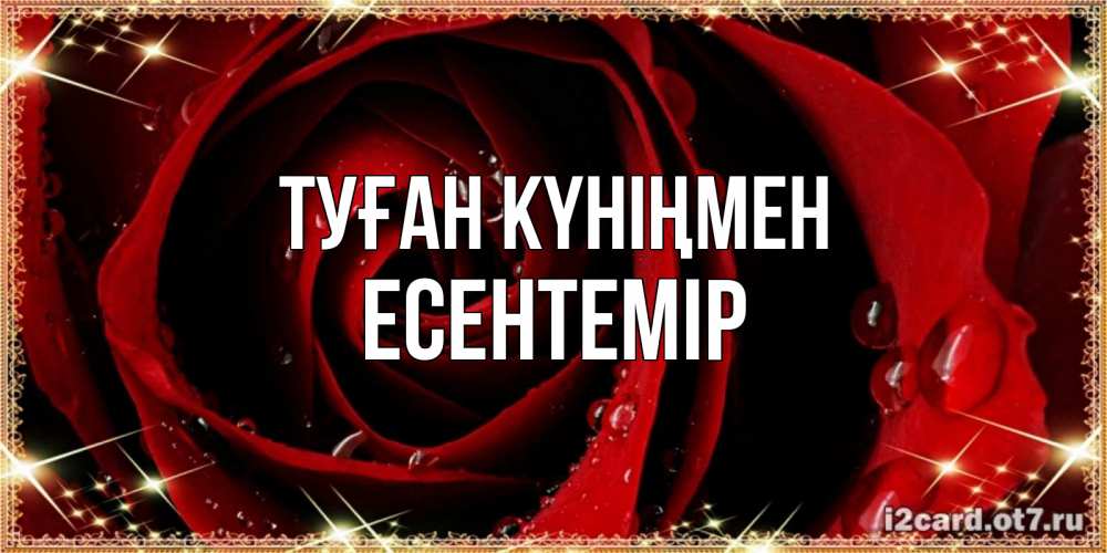 Күн сайын ашық хат с именем, Есентемір Туған күніңмен цветок в росе на день рождения Онлайн тегін жүктеп алу тілектері бар керемет карта 
