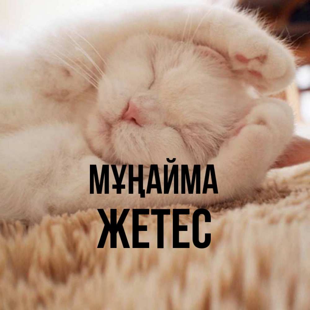 Күн сайын ашық хат с именем, Жетес Мұңайма Котенок спит Онлайн тегін жүктеп алу тілектері бар керемет карта 