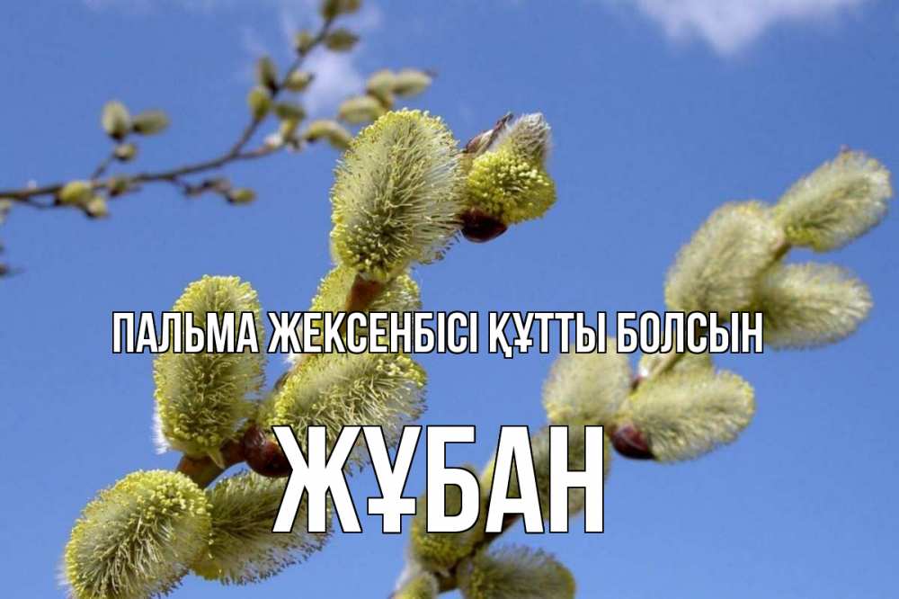 Күн сайын ашық хат с именем, Жұбан Пальма жексенбісі құтты болсын верба Онлайн тегін жүктеп алу тілектері бар керемет карта 