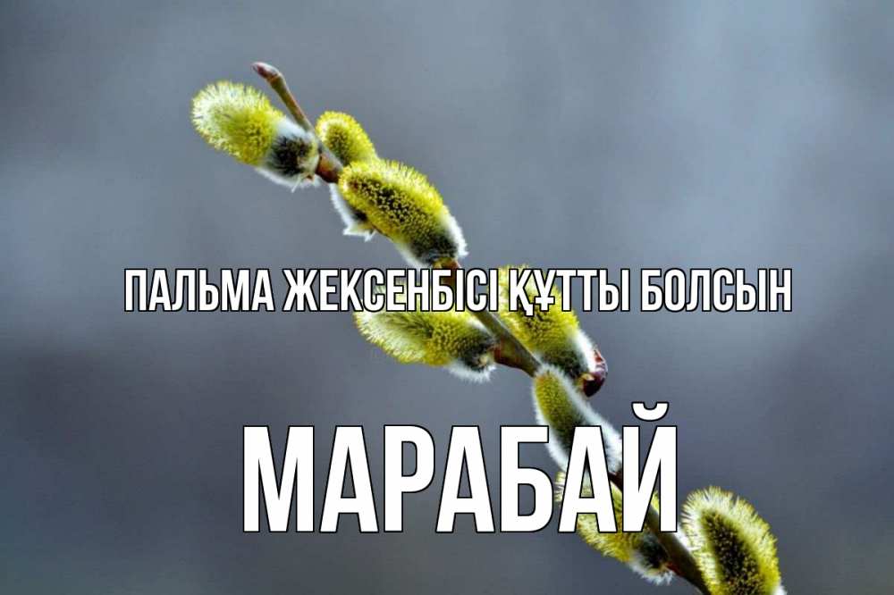 Күн сайын ашық хат с именем, МАРАБАЙ Пальма жексенбісі құтты болсын верба Онлайн тегін жүктеп алу тілектері бар керемет карта 