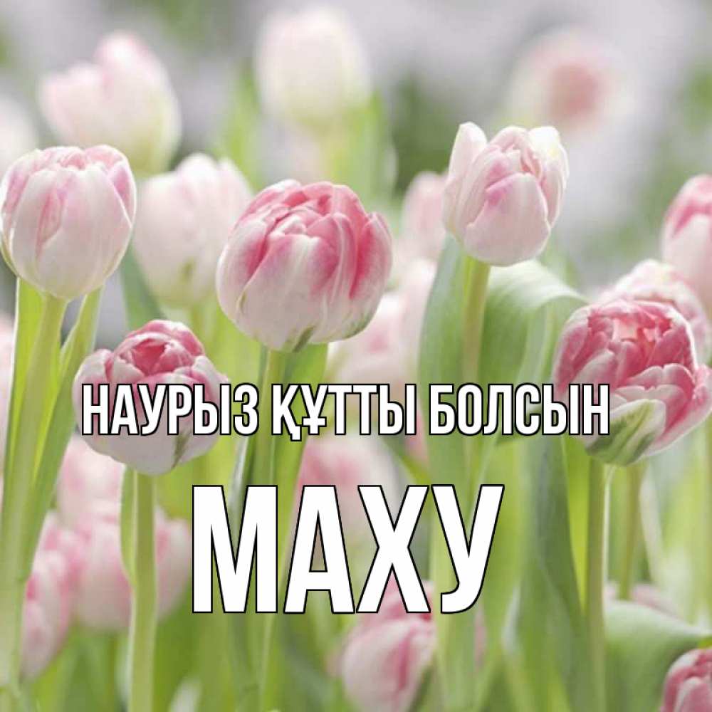 Күн сайын ашық хат с именем, МАХУ Наурыз құтты болсын цветы Онлайн тегін жүктеп алу тілектері бар керемет карта 