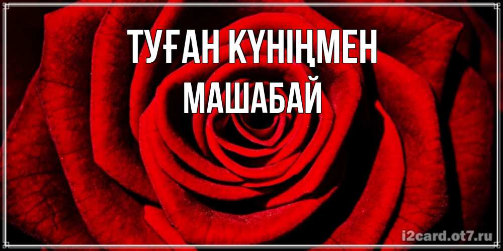 Күн сайын ашық хат с именем, МАШАБАЙ Туған күніңмен алая роза Онлайн тегін жүктеп алу тілектері бар керемет карта 