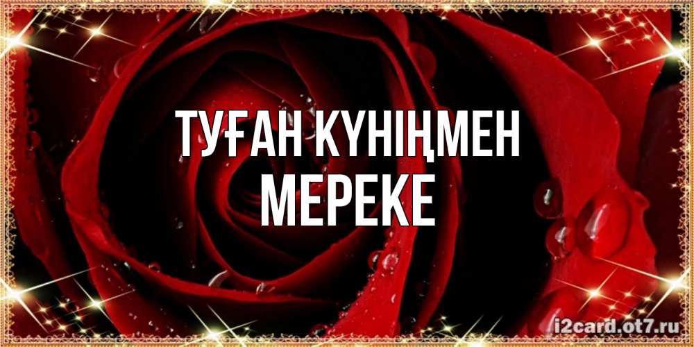 Күн сайын ашық хат с именем, МЕРЕКЕ Туған күніңмен цветок в росе на день рождения Онлайн тегін жүктеп алу тілектері бар керемет карта 