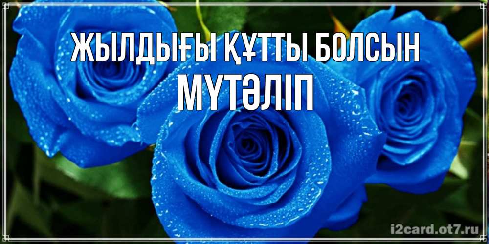 Күн сайын ашық хат с именем, МҮТӘЛІП Жылдығы құтты болсын розы с синим цветом Онлайн тегін жүктеп алу тілектері бар керемет карта 