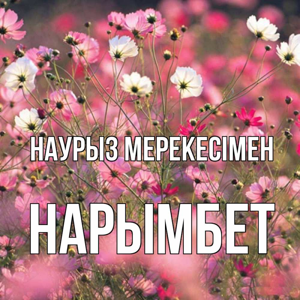 Күн сайын ашық хат с именем, Нарымбет Наурыз мерекесімен красиво 1 Онлайн тегін жүктеп алу тілектері бар керемет карта 