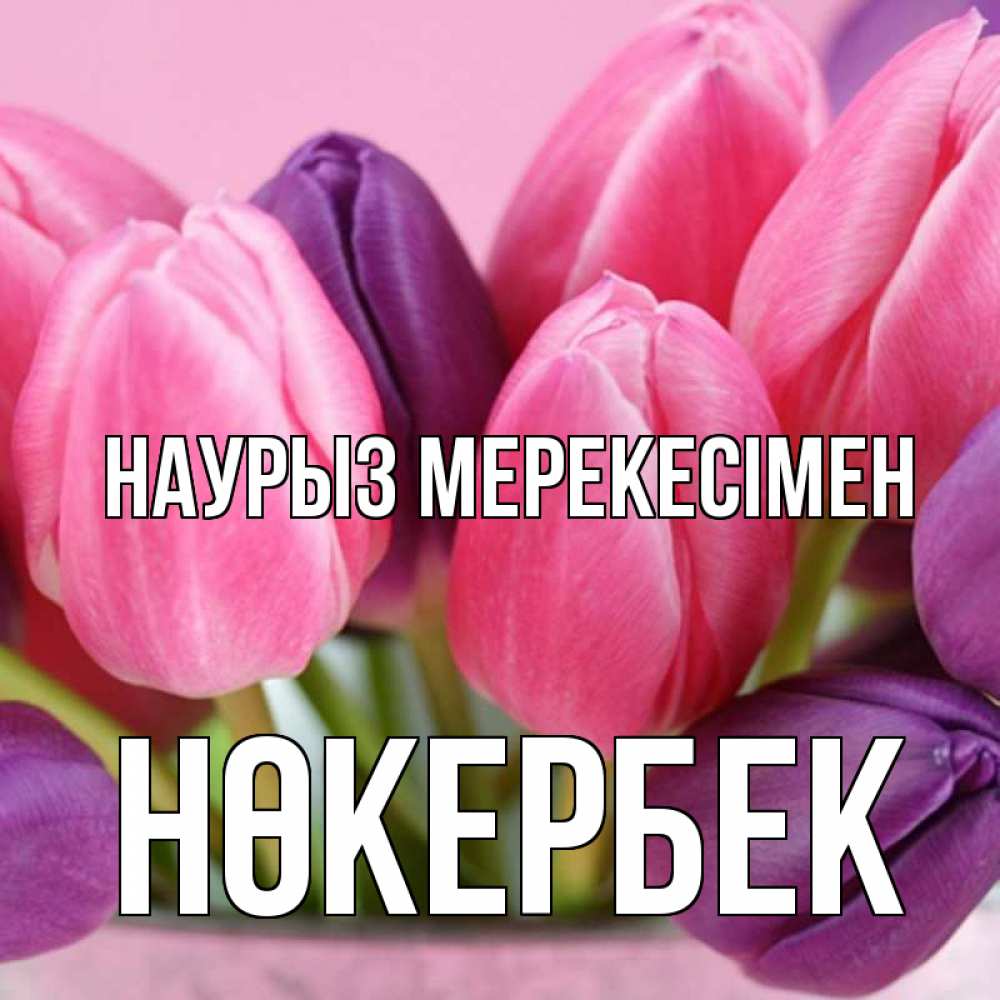 Күн сайын ашық хат с именем, НӨКЕРБЕК Наурыз мерекесімен маме 1 Онлайн тегін жүктеп алу тілектері бар керемет карта 