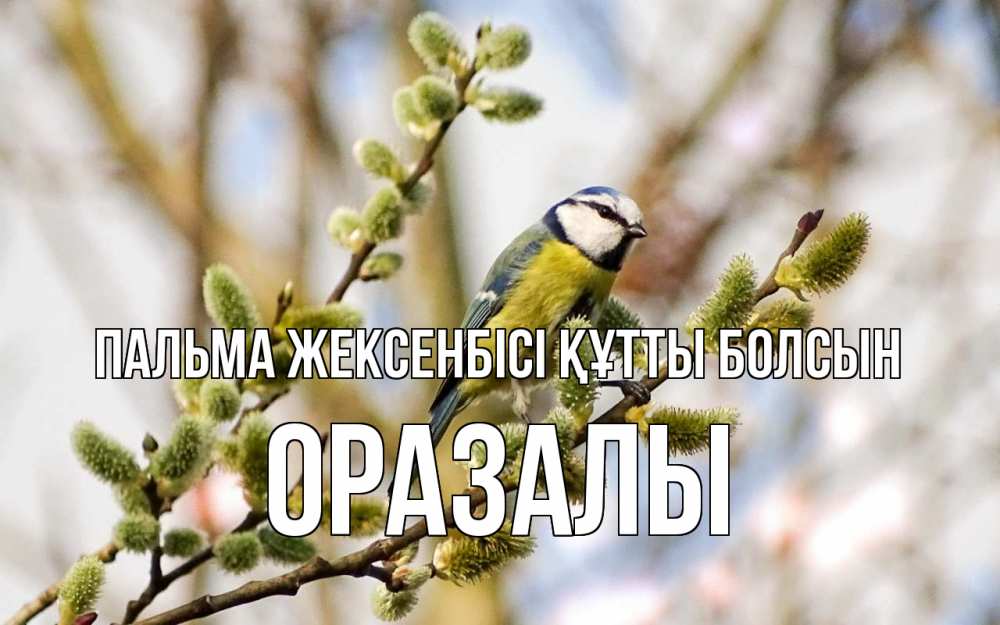 Күн сайын ашық хат с именем, ОРАЗАЛЫ Пальма жексенбісі құтты болсын верба Онлайн тегін жүктеп алу тілектері бар керемет карта 