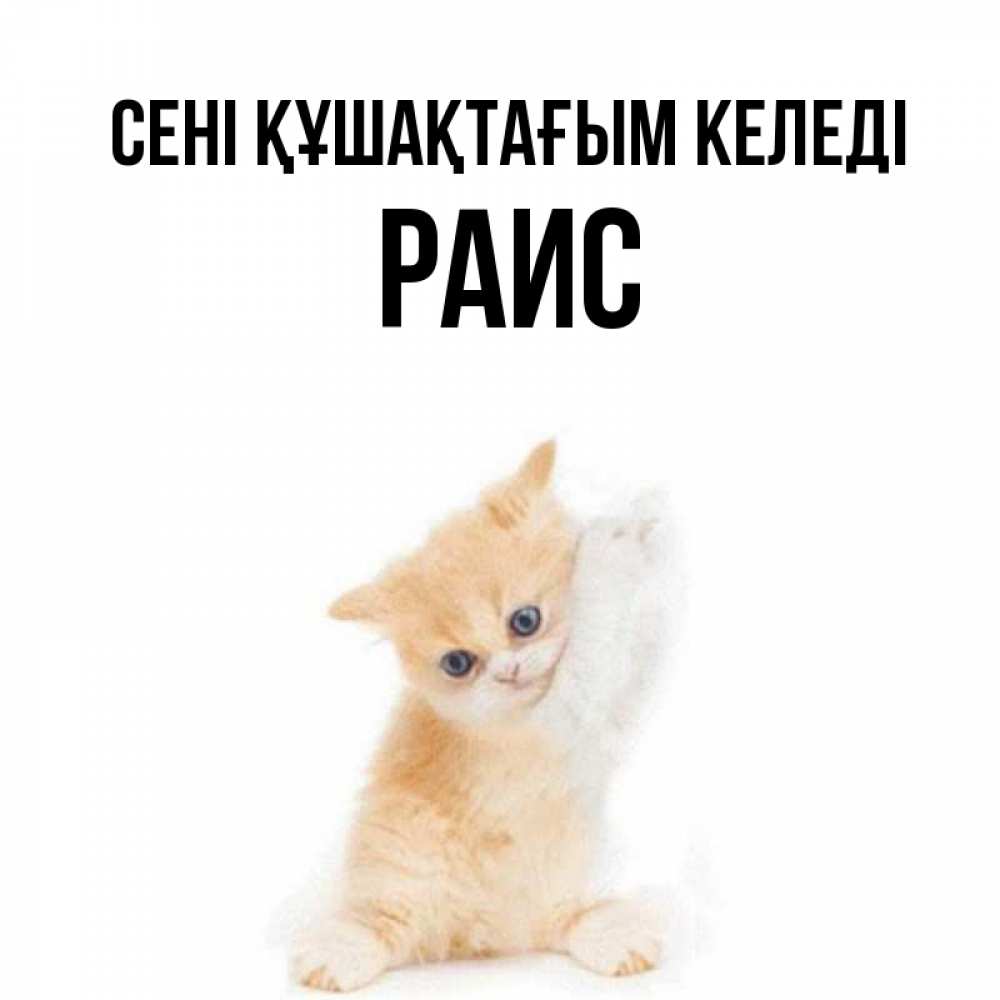 Күн сайын ашық хат с именем, Раис сені құшақтағым келеді я хочу очень скорее обнимаешек Онлайн тегін жүктеп алу тілектері бар керемет карта 
