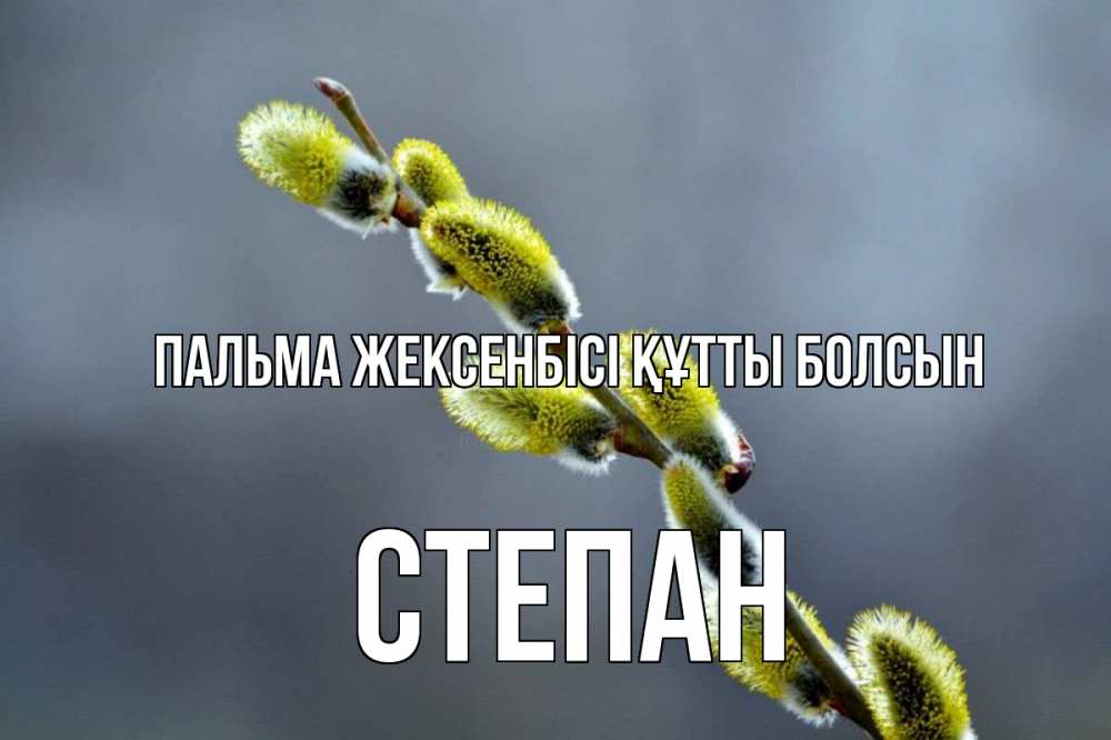 Күн сайын ашық хат с именем, Степан Пальма жексенбісі құтты болсын верба Онлайн тегін жүктеп алу тілектері бар керемет карта 