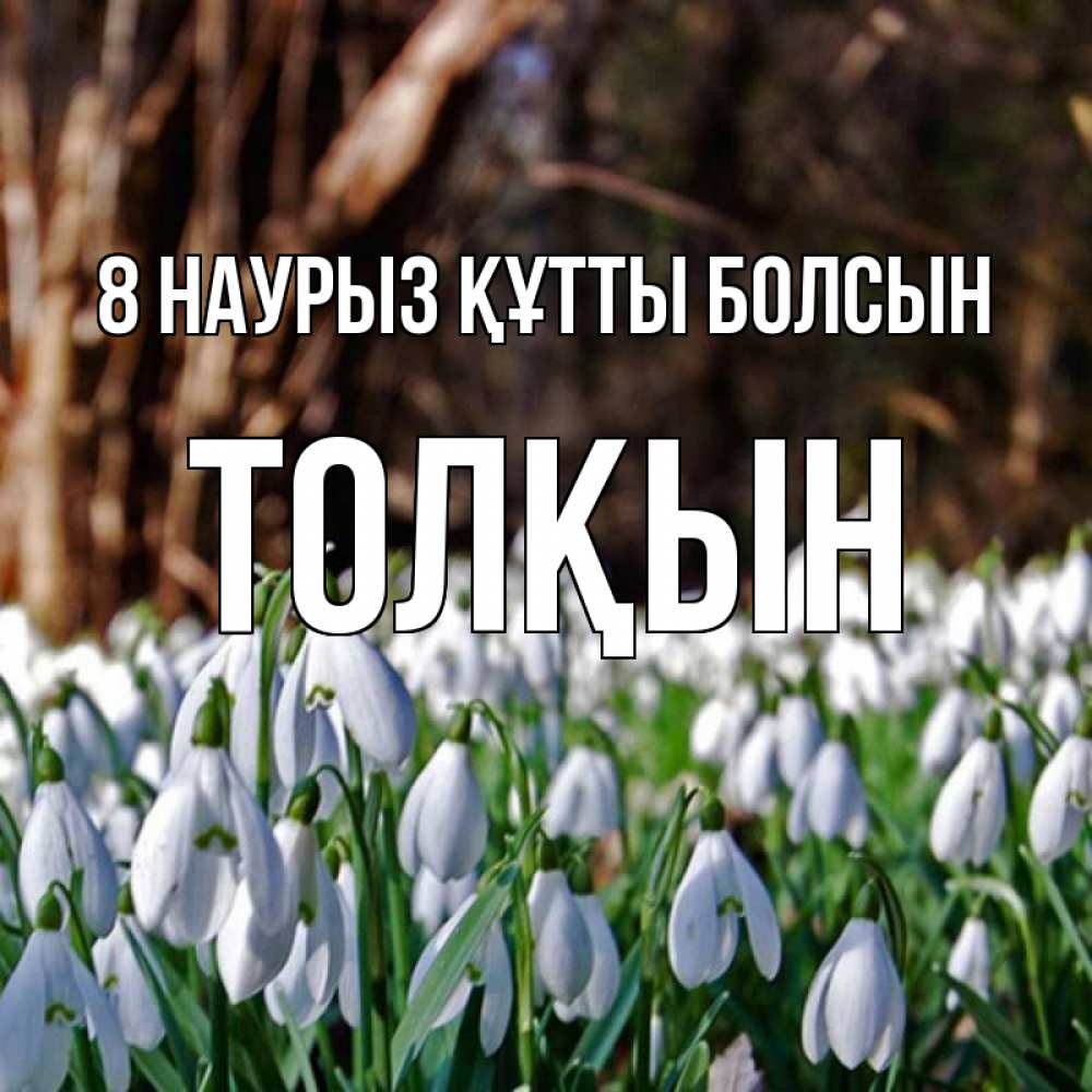 Күн сайын ашық хат с именем, ТОЛҚЫН 8 наурыз құтты болсын с подснежниками 1 Онлайн тегін жүктеп алу тілектері бар керемет карта 