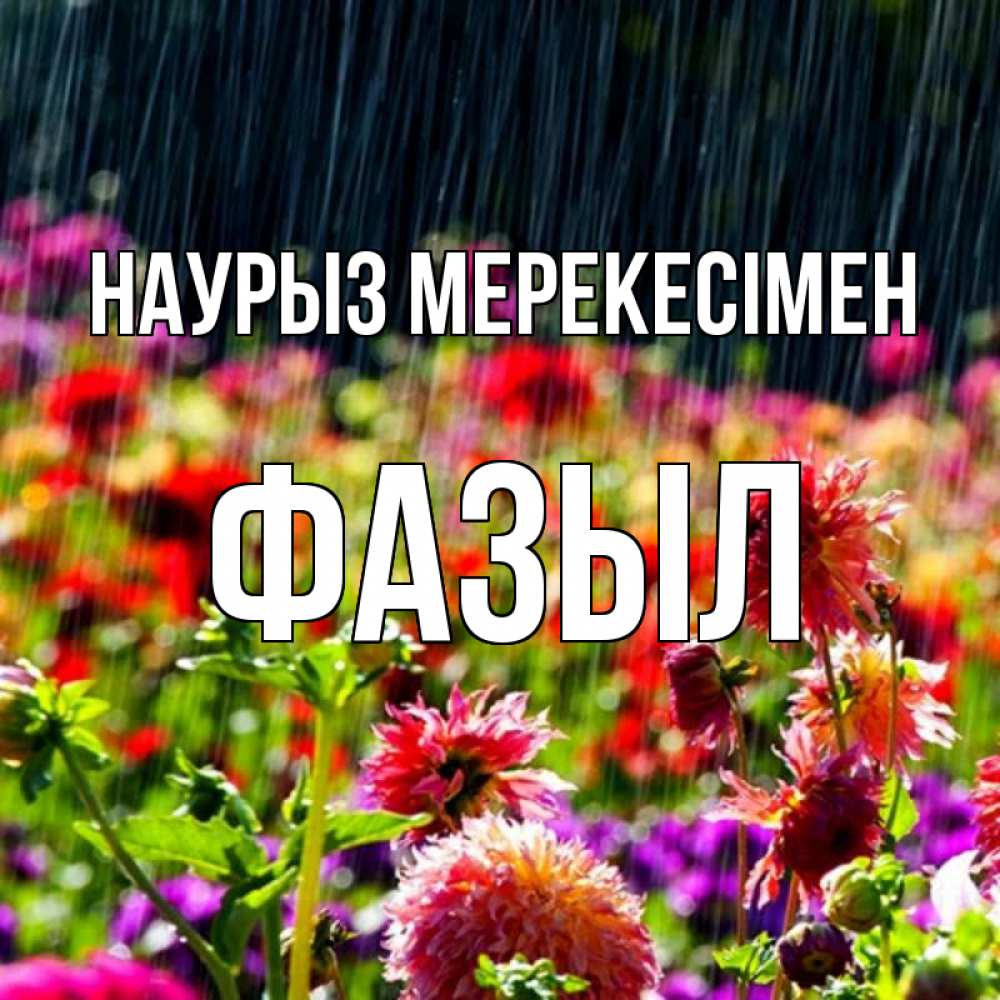 Күн сайын ашық хат с именем, ФАЗЫЛ Наурыз мерекесімен цветы под дождиком к международному женскому дню Онлайн тегін жүктеп алу тілектері бар керемет карта 