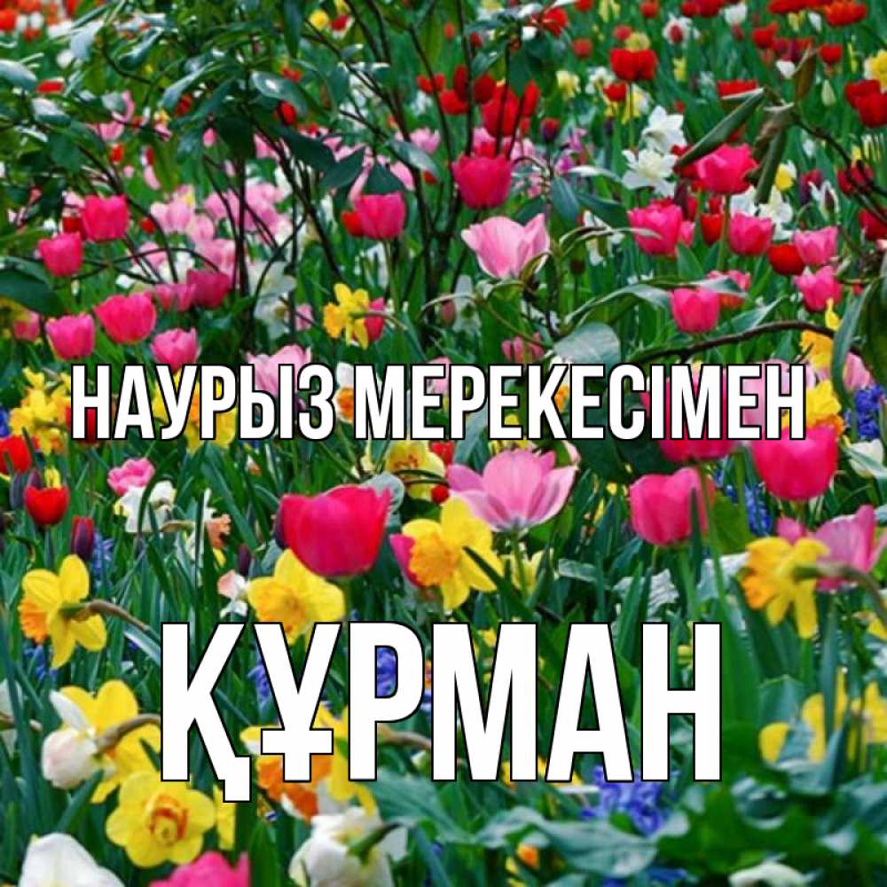 Күн сайын ашық хат с именем, ҚҰРМАН Наурыз мерекесімен с наурызом праздником весны поздравления для женщины Онлайн тегін жүктеп алу тілектері бар керемет карта 