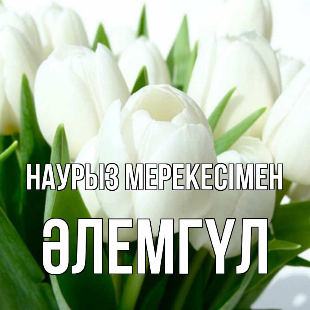 Күн сайын ашық хат с именем, ӘЛЕМГҮЛ Наурыз мерекесімен цветы Онлайн тегін жүктеп алу тілектері бар керемет карта 