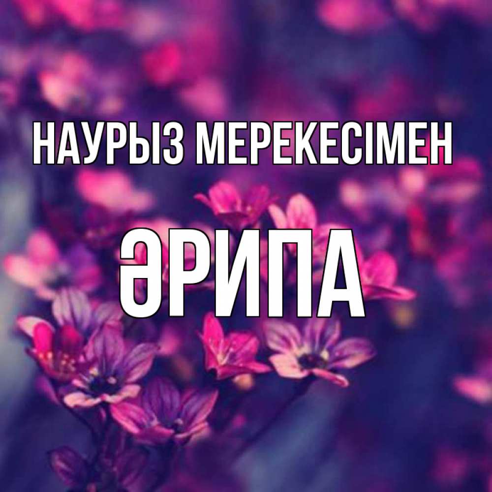 Күн сайын ашық хат с именем, ӘРИПА Наурыз мерекесімен небольшие цветы 1 Онлайн тегін жүктеп алу тілектері бар керемет карта 