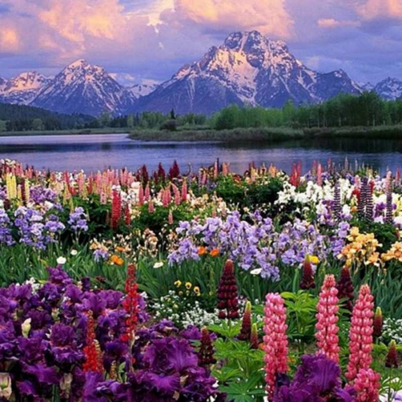 Открытка горные цветы  международный женский день  8 наурыз құтты болсын 