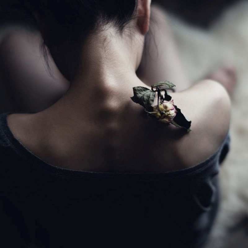 Открытка цветок сухой на плече  девушка со спины  Мұңайма 