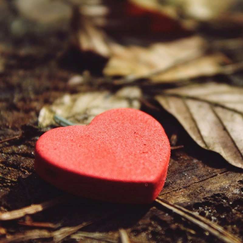 Открытка сердце 4 листья деревье 4 Мен сені сүйемін 