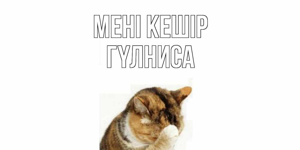 Күн сайын ашық хат с именем, ГҮЛНИСА Мені кешір кот Онлайн тегін жүктеп алу тілектері бар керемет карта 