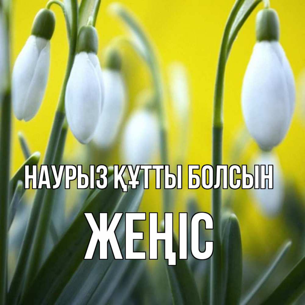 Күн сайын ашық хат с именем, Жеңіс Наурыз құтты болсын весенние цветы Онлайн тегін жүктеп алу тілектері бар керемет карта 