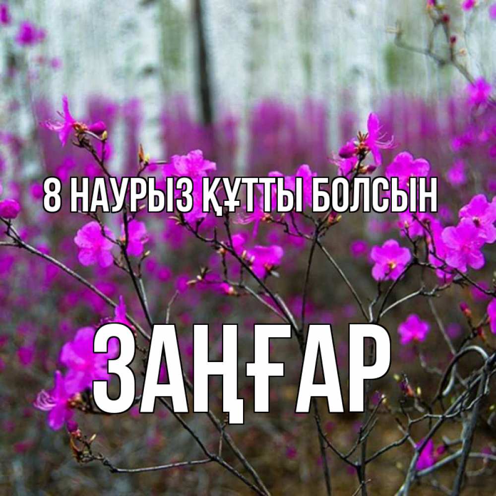 Күн сайын ашық хат с именем, Заңғар 8 наурыз құтты болсын дикие цветы Онлайн тегін жүктеп алу тілектері бар керемет карта 