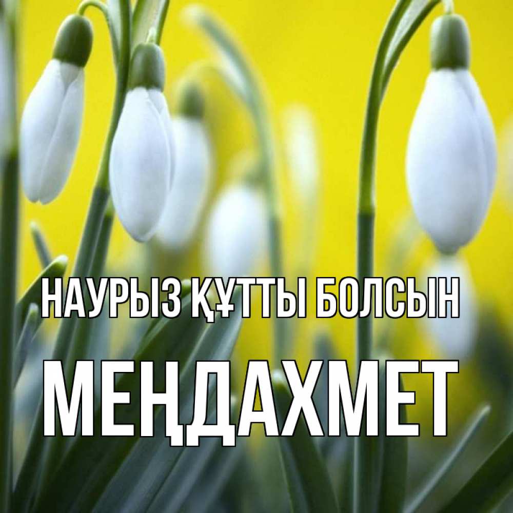 Күн сайын ашық хат с именем, МЕҢДАХМЕТ Наурыз құтты болсын весенние цветы Онлайн тегін жүктеп алу тілектері бар керемет карта 