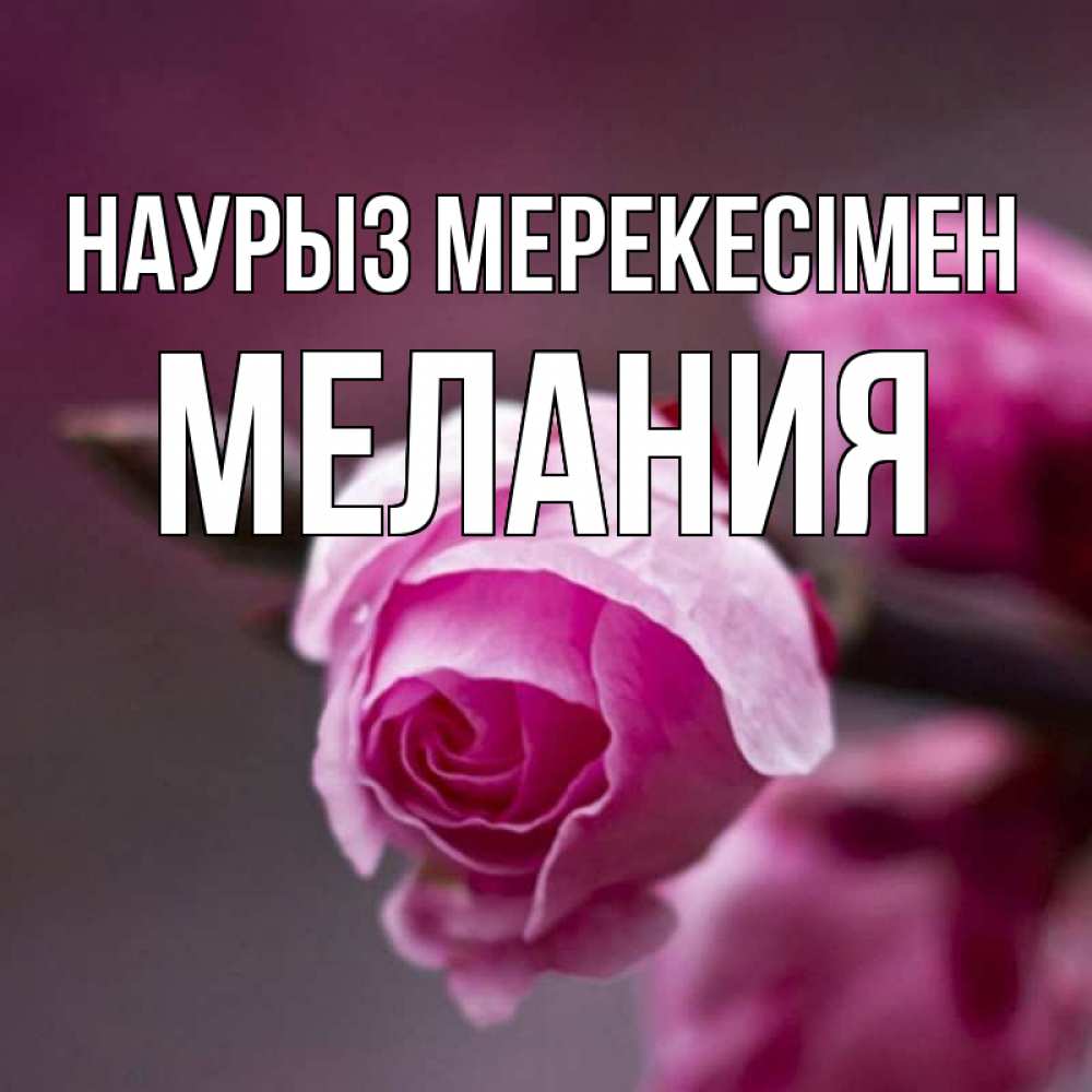 Күн сайын ашық хат с именем, Мелания Наурыз мерекесімен весна Онлайн тегін жүктеп алу тілектері бар керемет карта 