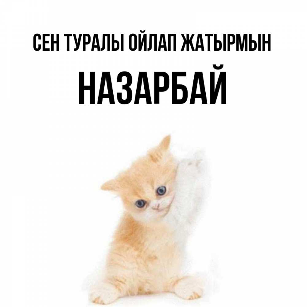 Күн сайын ашық хат с именем, НАЗАРБАЙ Сен туралы ойлап жатырмын зверушки и милота Онлайн тегін жүктеп алу тілектері бар керемет карта 