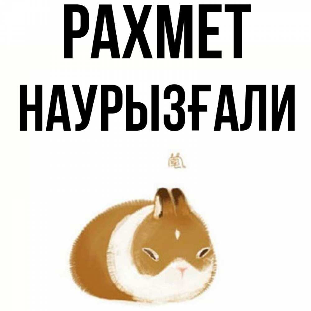 Күн сайын ашық хат с именем, Наурызғали рахмет коричнево белый домашний питомец Онлайн тегін жүктеп алу тілектері бар керемет карта 