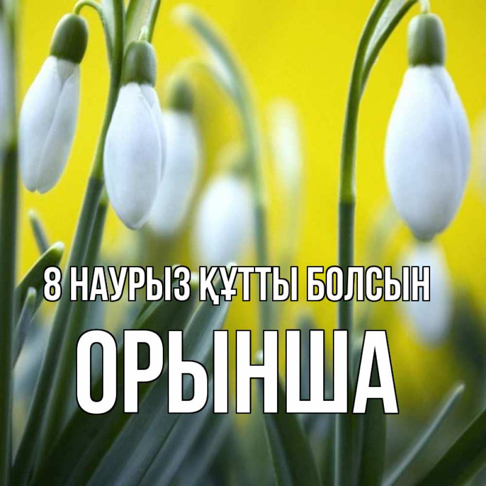 Күн сайын ашық хат с именем, ОРЫНША 8 наурыз құтты болсын весенние цветы Онлайн тегін жүктеп алу тілектері бар керемет карта 