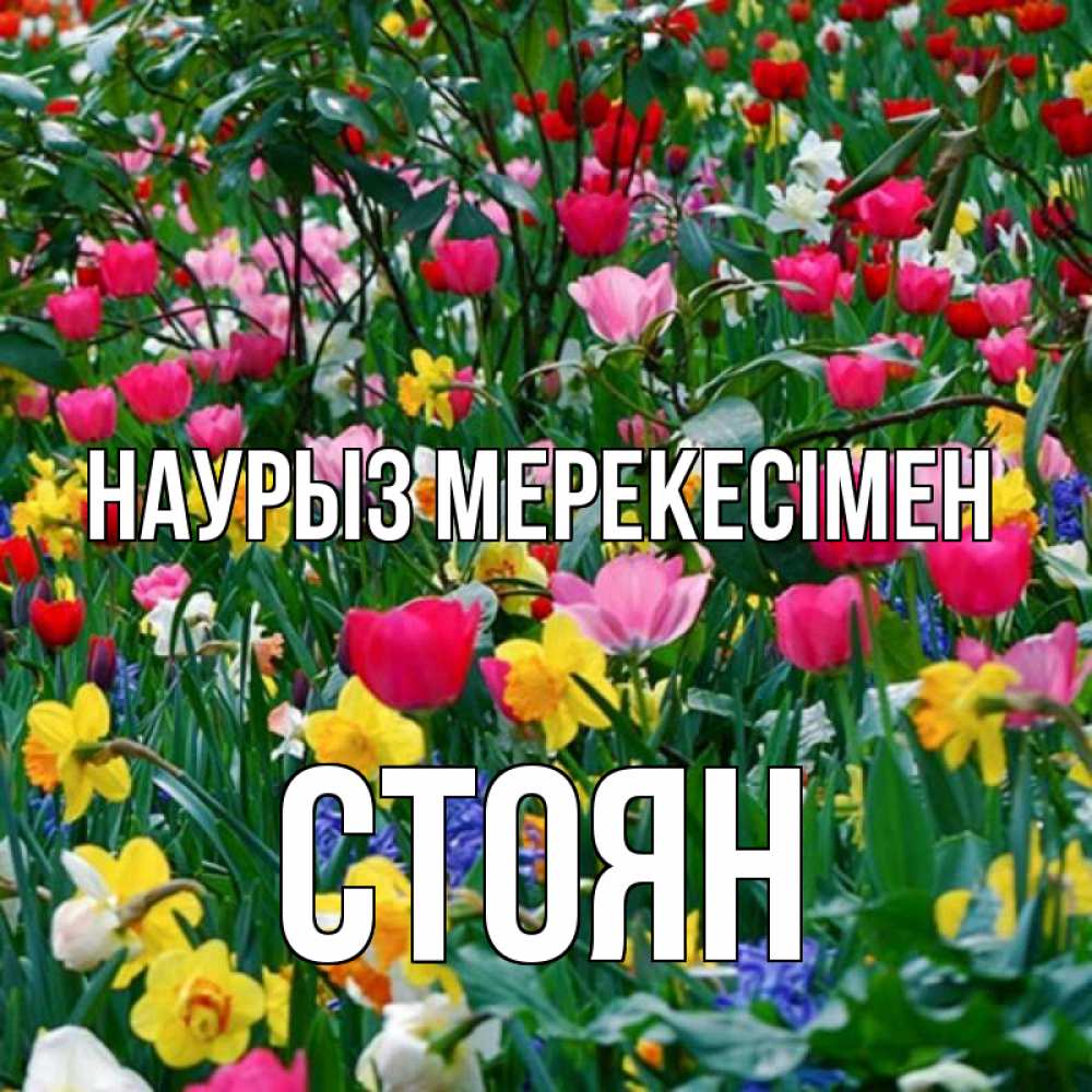 Күн сайын ашық хат с именем, Стоян Наурыз мерекесімен с наурызом праздником весны поздравления для женщины Онлайн тегін жүктеп алу тілектері бар керемет карта 