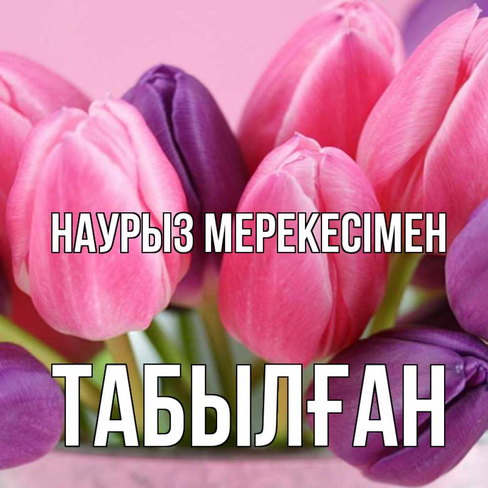 Күн сайын ашық хат с именем, ТАБЫЛҒАН Наурыз мерекесімен маме 1 Онлайн тегін жүктеп алу тілектері бар керемет карта 