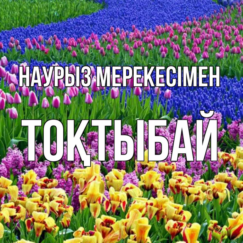 Күн сайын ашық хат с именем, ТОҚТЫБАЙ Наурыз мерекесімен цветы Онлайн тегін жүктеп алу тілектері бар керемет карта 